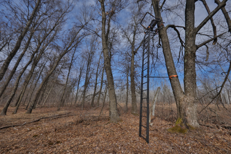 Nearly 1,000-acre Landholding for Sale in Wisconsin - image 35