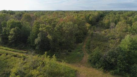 Nearly 1,000-acre Landholding for Sale in Wisconsin - image 29