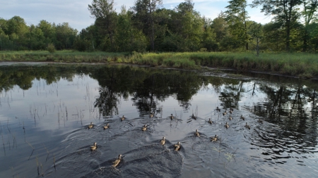 Nearly 1,000-acre Landholding for Sale in Wisconsin - image 40