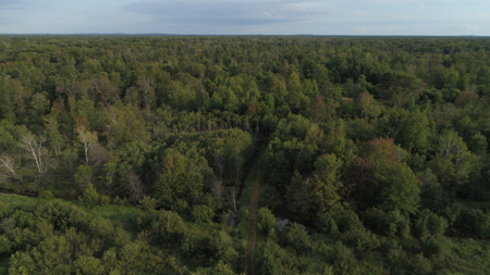 Nearly 1,000-acre Landholding for Sale in Wisconsin - image 5
