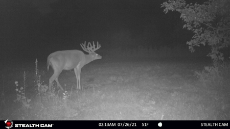 Nearly 1,000-acre Landholding for Sale in Wisconsin - image 42