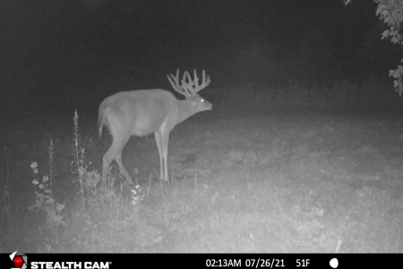 Nearly 1,000-acre Landholding for Sale in Wisconsin - image 1