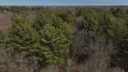 Nearly 1,000-acre Landholding for Sale in Wisconsin - image 11