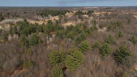 Nearly 1,000-acre Landholding for Sale in Wisconsin - image 17