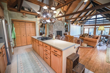 Country Home & Vineyard for Sale in in Ellettsville, IN - image 6