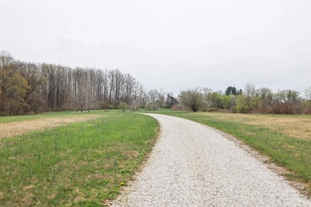 Country Home & Vineyard for Sale in in Ellettsville, IN - image 33