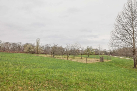 Country Home & Vineyard for Sale in in Ellettsville, IN - image 14