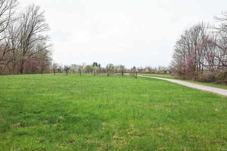 Country Home & Vineyard for Sale in in Ellettsville, IN - image 16
