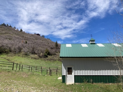 Horse-Friendly Colorado Mountain Property with Barn and Epic View - image 10