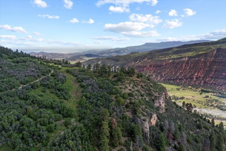Horse-Friendly Colorado Mountain Property with Barn and Epic View - image 17