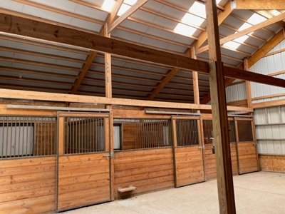 Horse-Friendly Colorado Mountain Property with Barn and Epic View - image 34