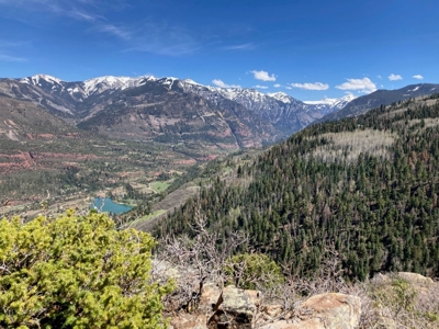 Horse-Friendly Colorado Mountain Property with Barn and Epic View - image 2