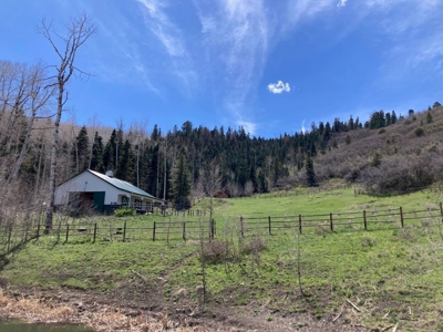 Horse-Friendly Colorado Mountain Property with Barn and Epic View - image 31