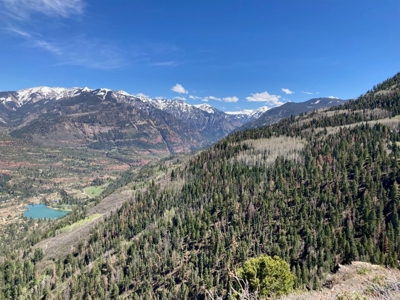 Horse-Friendly Colorado Mountain Property with Barn and Epic View - image 24