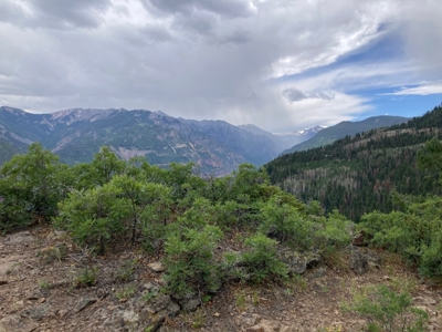 Horse-Friendly Colorado Mountain Property with Barn and Epic View - image 1