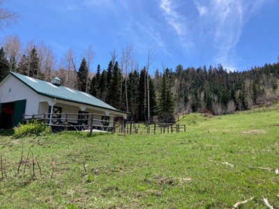 Horse-Friendly Colorado Mountain Property with Barn and Epic View - image 12