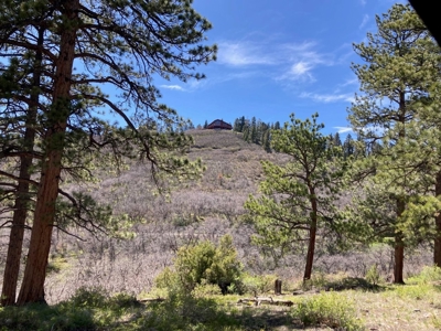 Horse-Friendly Colorado Mountain Property with Barn and Epic View - image 29