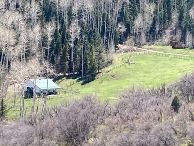 Horse-Friendly Colorado Mountain Property with Barn and Epic View - image 26