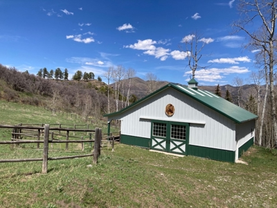 Horse-Friendly Colorado Mountain Property with Barn and Epic View - image 7
