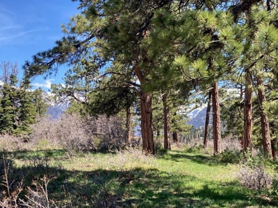 Horse-Friendly Colorado Mountain Property with Barn and Epic View - image 28