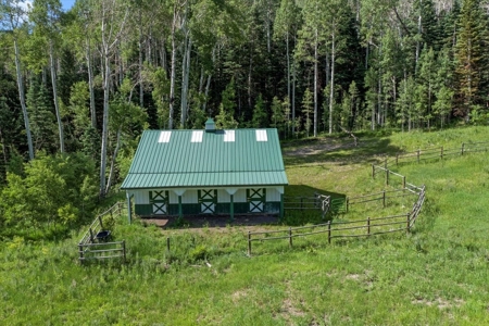 Horse-Friendly Colorado Mountain Property with Barn and Epic View - image 9