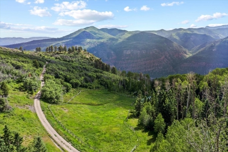 Horse-Friendly Colorado Mountain Property with Barn and Epic View - image 18