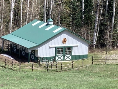 Horse-Friendly Colorado Mountain Property with Barn and Epic View - image 8