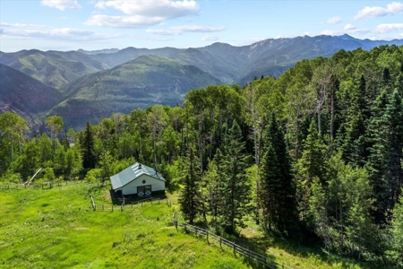 Horse-Friendly Colorado Mountain Property with Barn and Epic View - image 19
