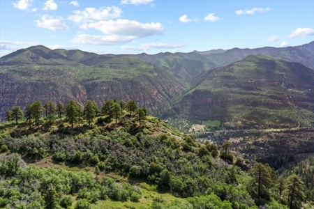 Horse-Friendly Colorado Mountain Property with Barn and Epic View - image 4