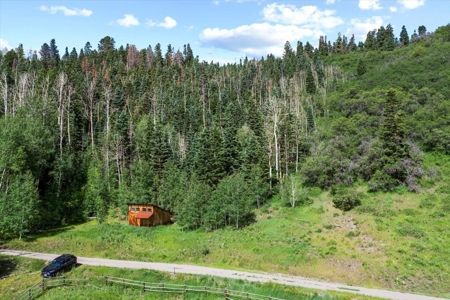 Horse-Friendly Colorado Mountain Property with Barn and Epic View - image 15