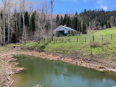Horse-Friendly Colorado Mountain Property with Barn and Epic View - image 30