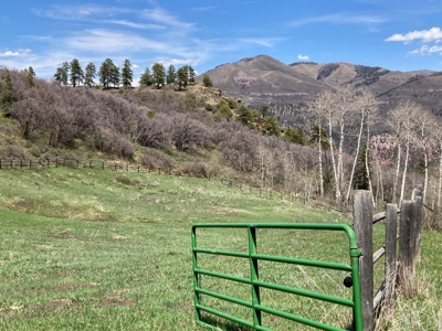 Horse-Friendly Colorado Mountain Property with Barn and Epic View - image 37