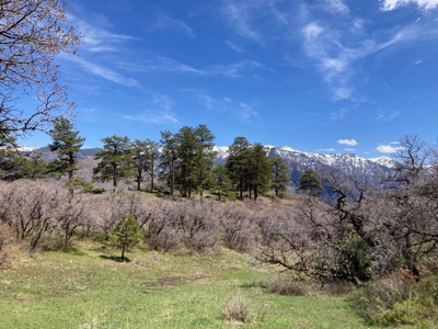 Horse-Friendly Colorado Mountain Property with Barn and Epic View - image 38
