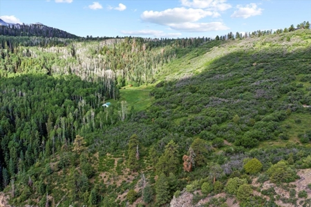 Horse-Friendly Colorado Mountain Property with Barn and Epic View - image 21