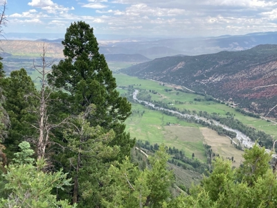 Horse-Friendly Colorado Mountain Property with Barn and Epic View - image 20