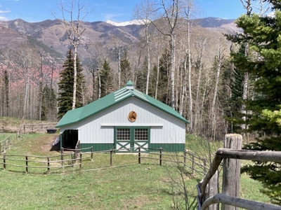 Horse-Friendly Colorado Mountain Property with Barn and Epic View - image 6