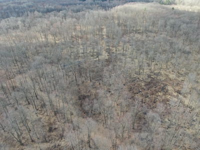 75-acre parcel in the heart of Clark County Wisconsin - image 34