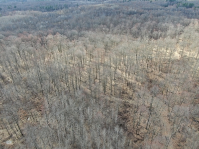 75-acre parcel in the heart of Clark County Wisconsin - image 10