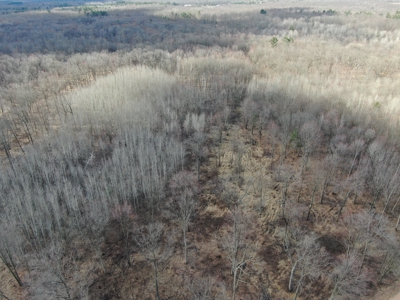 75-acre parcel in the heart of Clark County Wisconsin - image 47