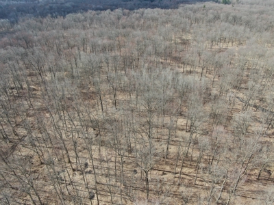 75-acre parcel in the heart of Clark County Wisconsin - image 45