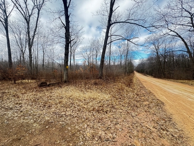 75-acre parcel in the heart of Clark County Wisconsin - image 4