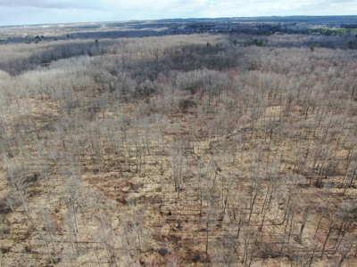 75-acre parcel in the heart of Clark County Wisconsin - image 36