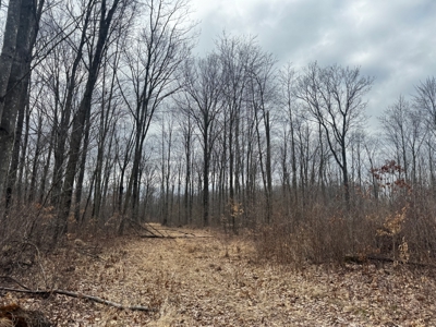 75-acre parcel in the heart of Clark County Wisconsin - image 17