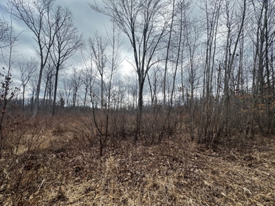 75-acre parcel in the heart of Clark County Wisconsin - image 18