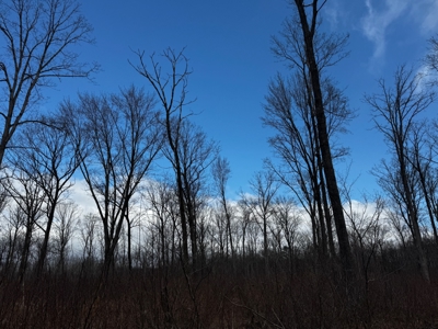 75-acre parcel in the heart of Clark County Wisconsin - image 28