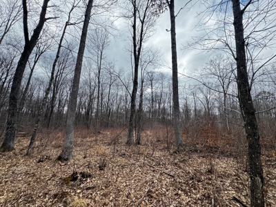 75-acre parcel in the heart of Clark County Wisconsin - image 27