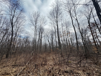 75-acre parcel in the heart of Clark County Wisconsin - image 23