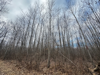 75-acre parcel in the heart of Clark County Wisconsin - image 13