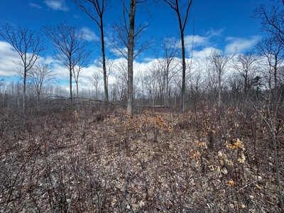 75-acre parcel in the heart of Clark County Wisconsin - image 32