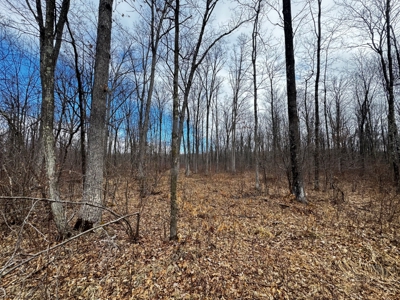 75-acre parcel in the heart of Clark County Wisconsin - image 8